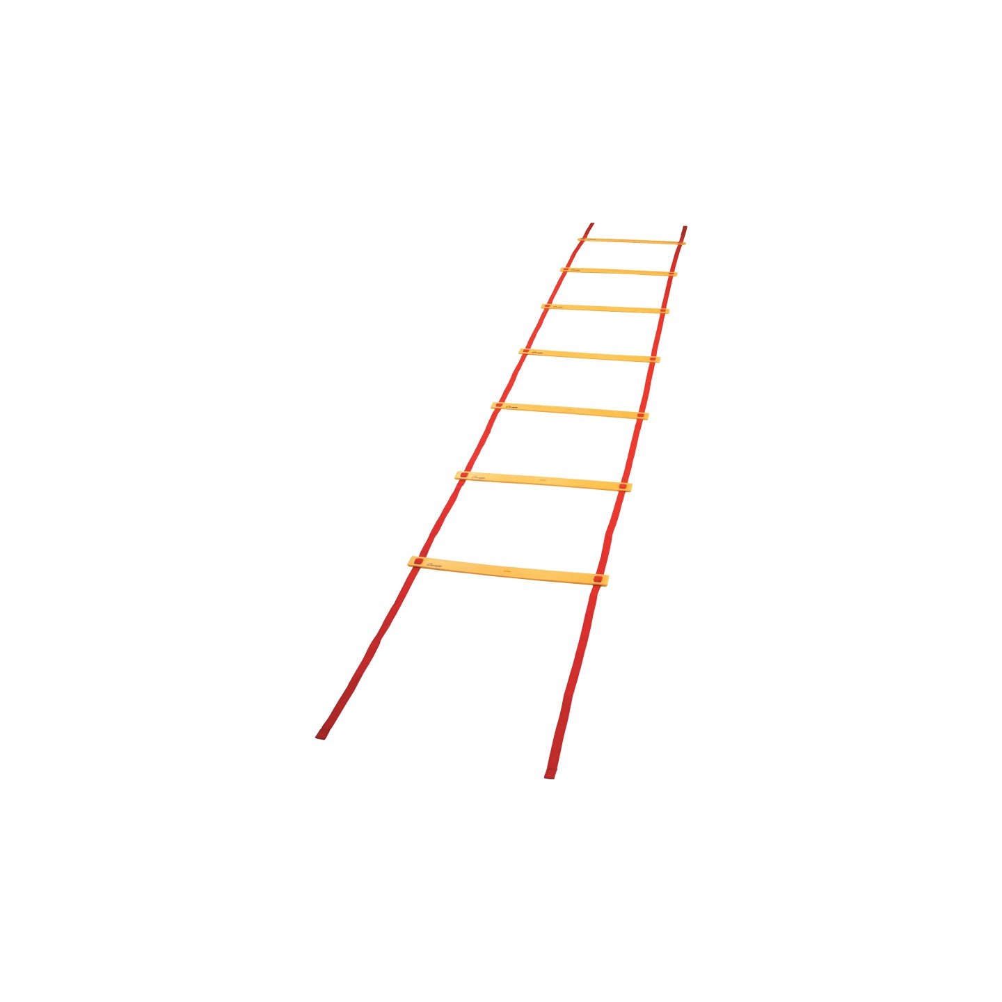 Champion Sports Economy Agility Ladder