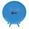 Champion Sports FitPro Ball with Stability Legs, 55cm
