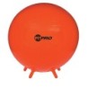 Champion Sports FitPro Ball with Stability Legs, 75cm