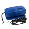 Champion Sports Deluxe Electric Inflating Pump