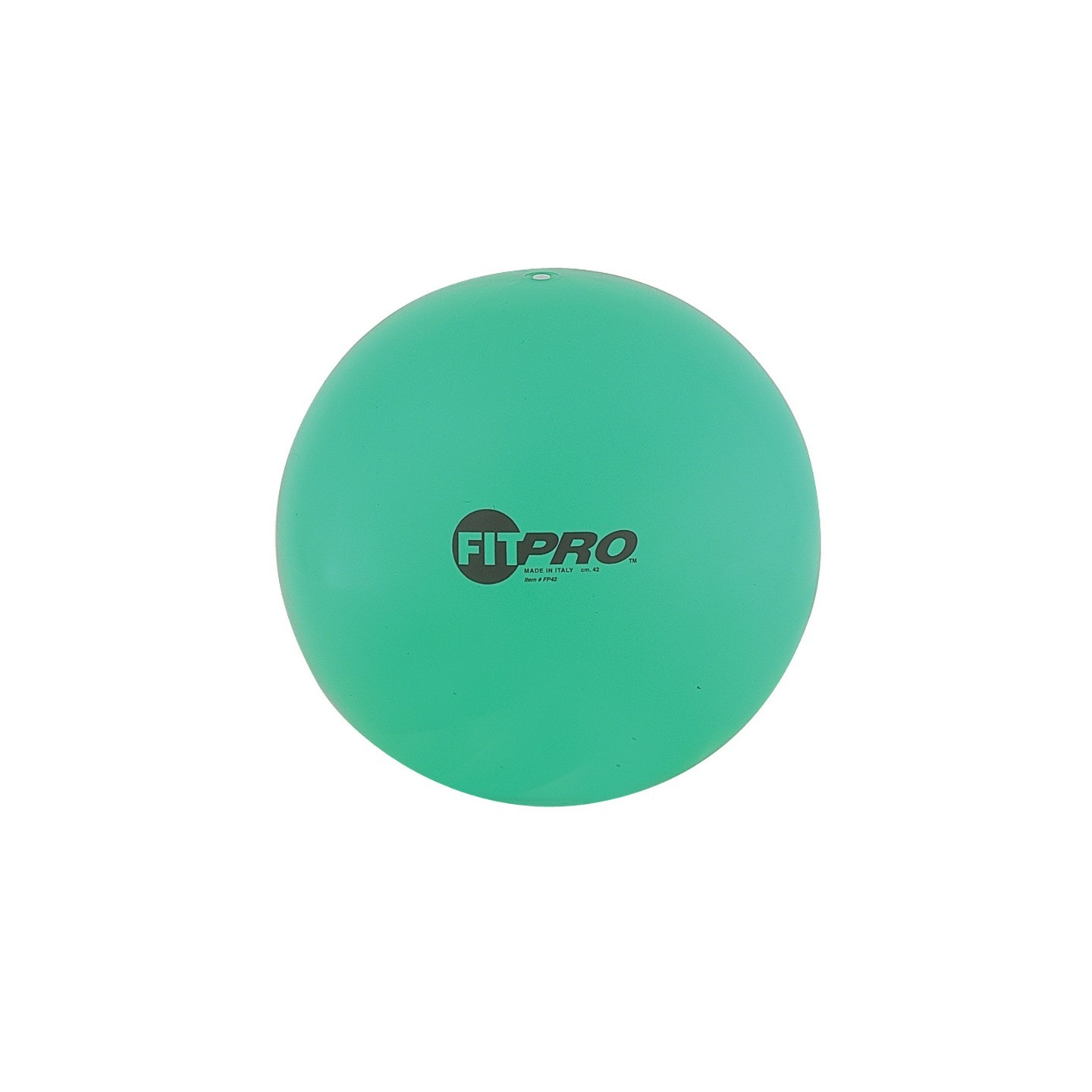 Champion Sports Fitpro Training & Exercise Ball, 42cm, Green