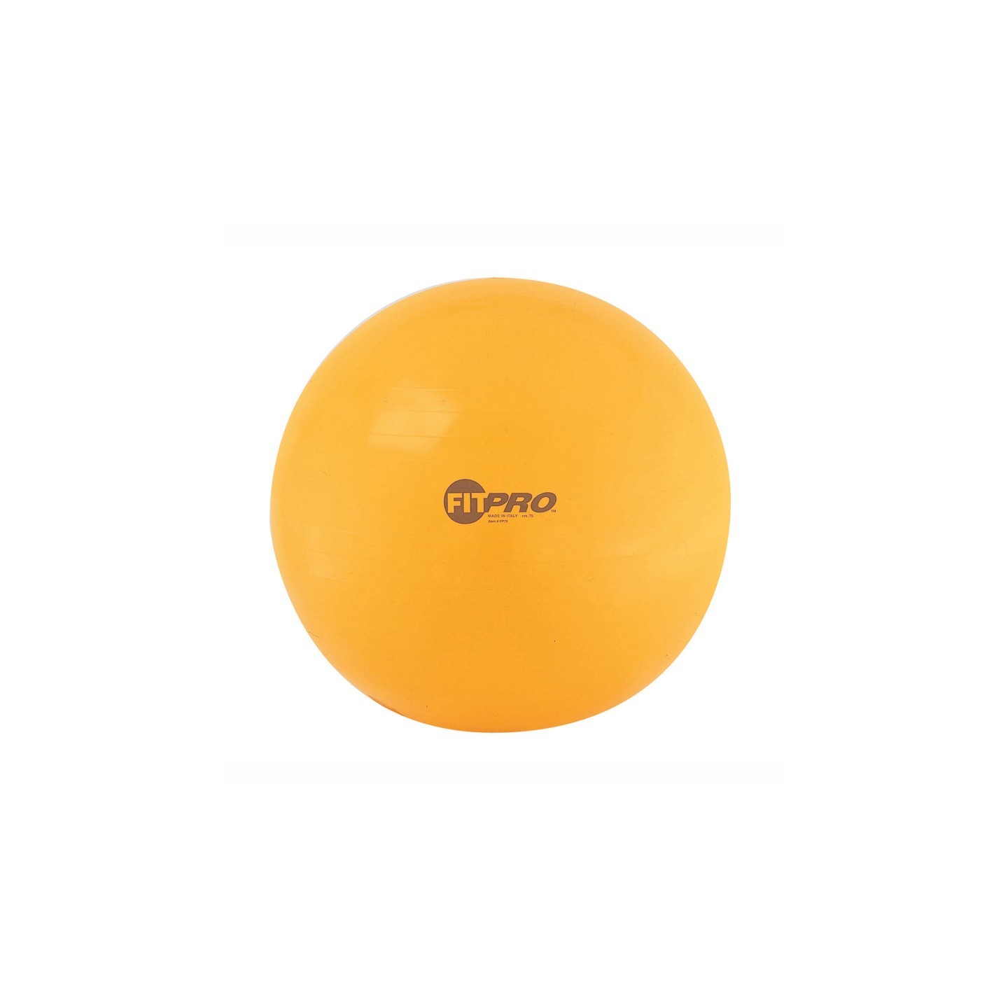 Champion Sports Fitpro Training & Exercise Ball, 75 cm, Yellow