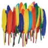 Creativity Street® Duck Quills, Assorted Colors, 3" to 5", 14 grams