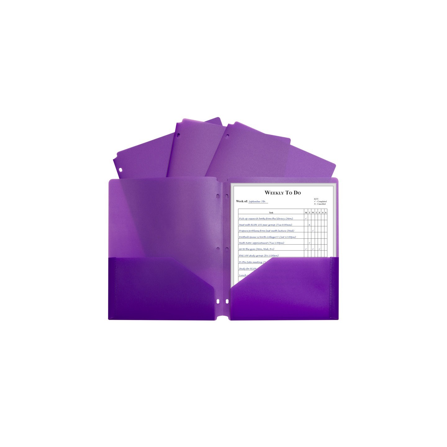 C-Line® Two-Pocket Heavyweight Poly Portfolio Folder with Three-Hole Punch, Purple, Each
