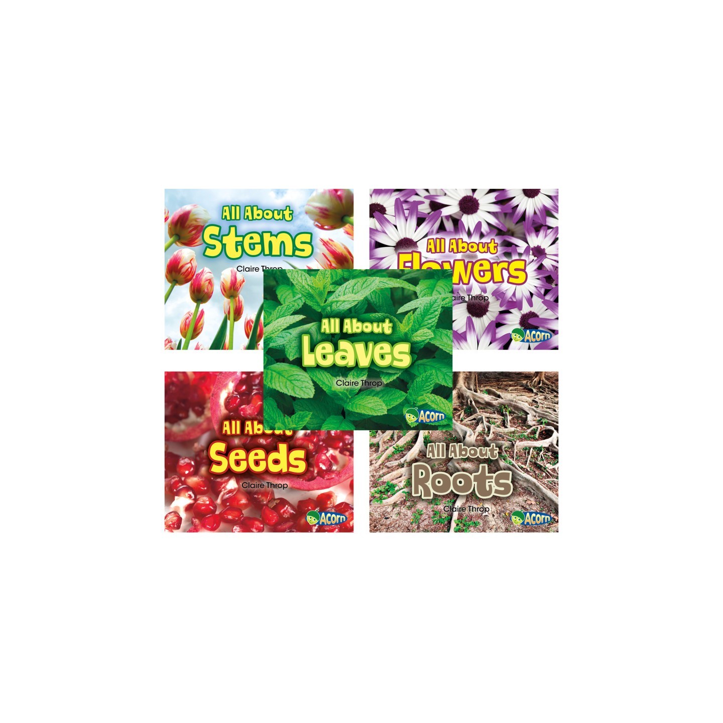 Acorn All About Plants Book Set, Set of 5