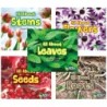 Acorn All About Plants Book Set, Set of 5