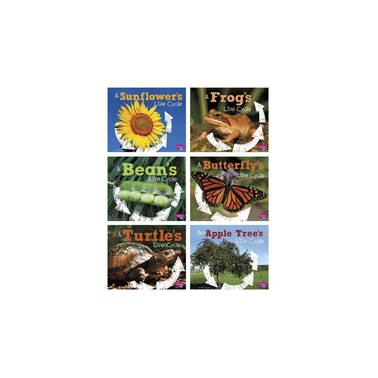 Pebble Plus Explore Life Cycles, Set of 6 books