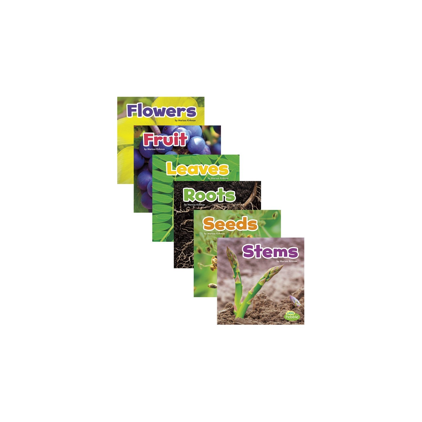 Little Pebble Plant Parts, Set of 6 books