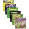 Little Pebble Plant Parts, Set of 6 books