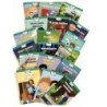 Creative Teaching Press® Fonéticos Decodable Readers Set 2