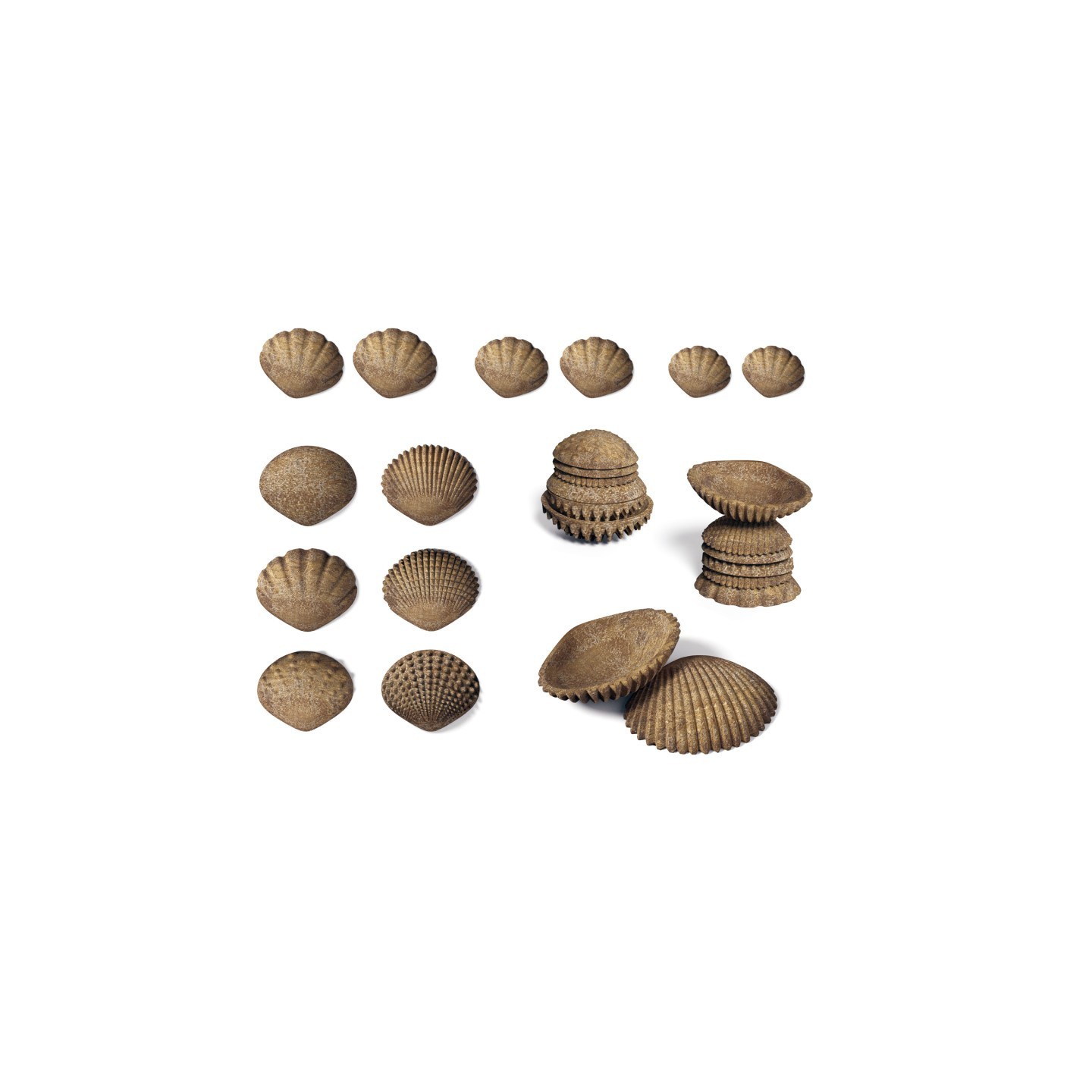 edxeducation® Tactile Shells - Eco-Friendly - 36 Pieces, 6 Textures, 3 Sizes - Ages 18m+
