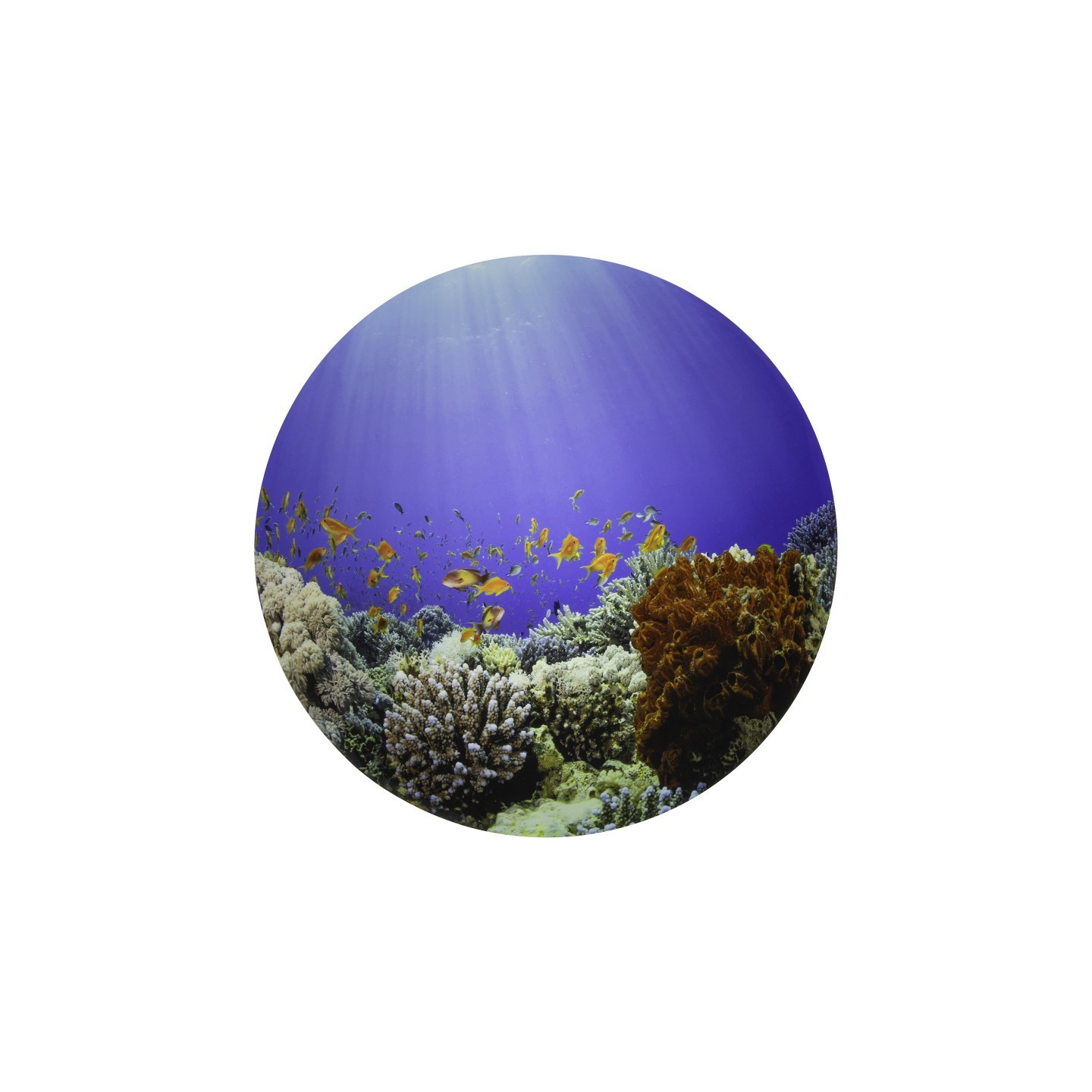 TickiT® Under the Sea Discovery Play Mat