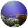 TickiT® Under the Sea Discovery Play Mat
