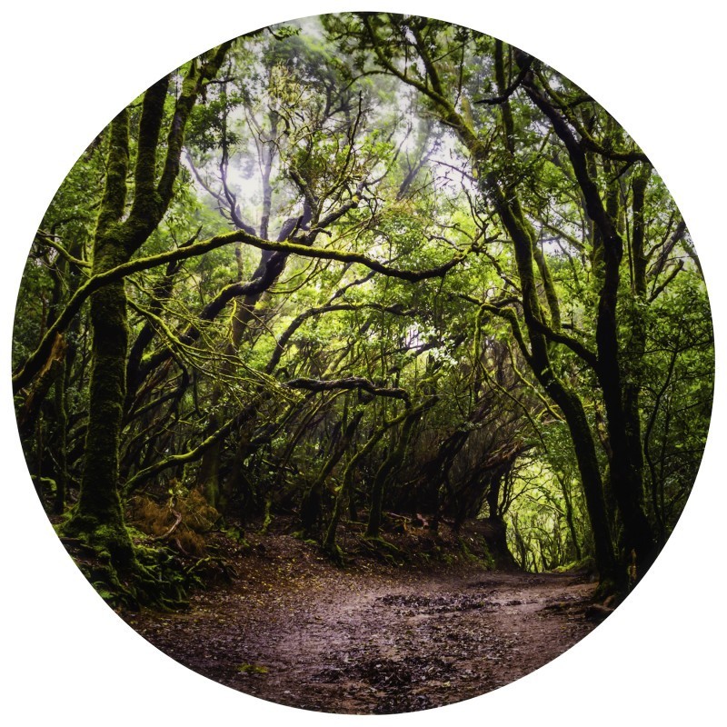 TickiT® Forest Discovery Play Mat