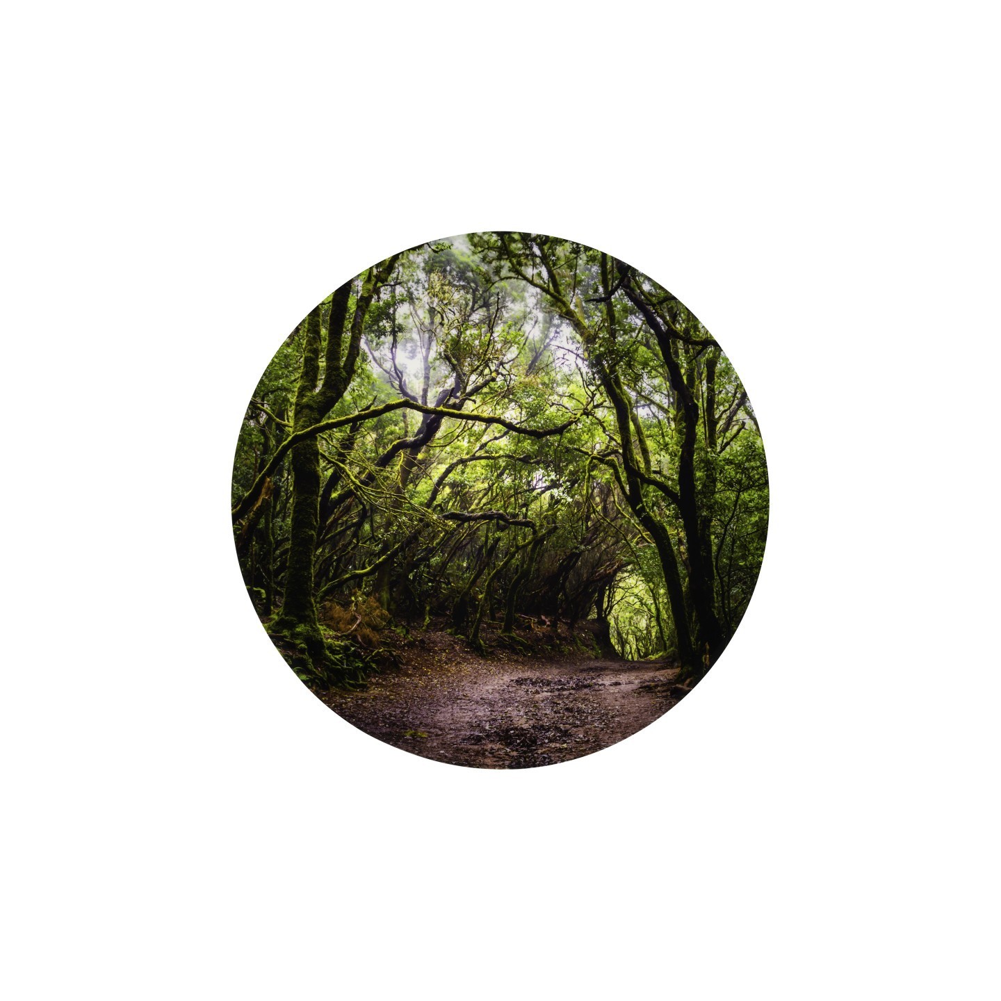 TickiT® Forest Discovery Play Mat
