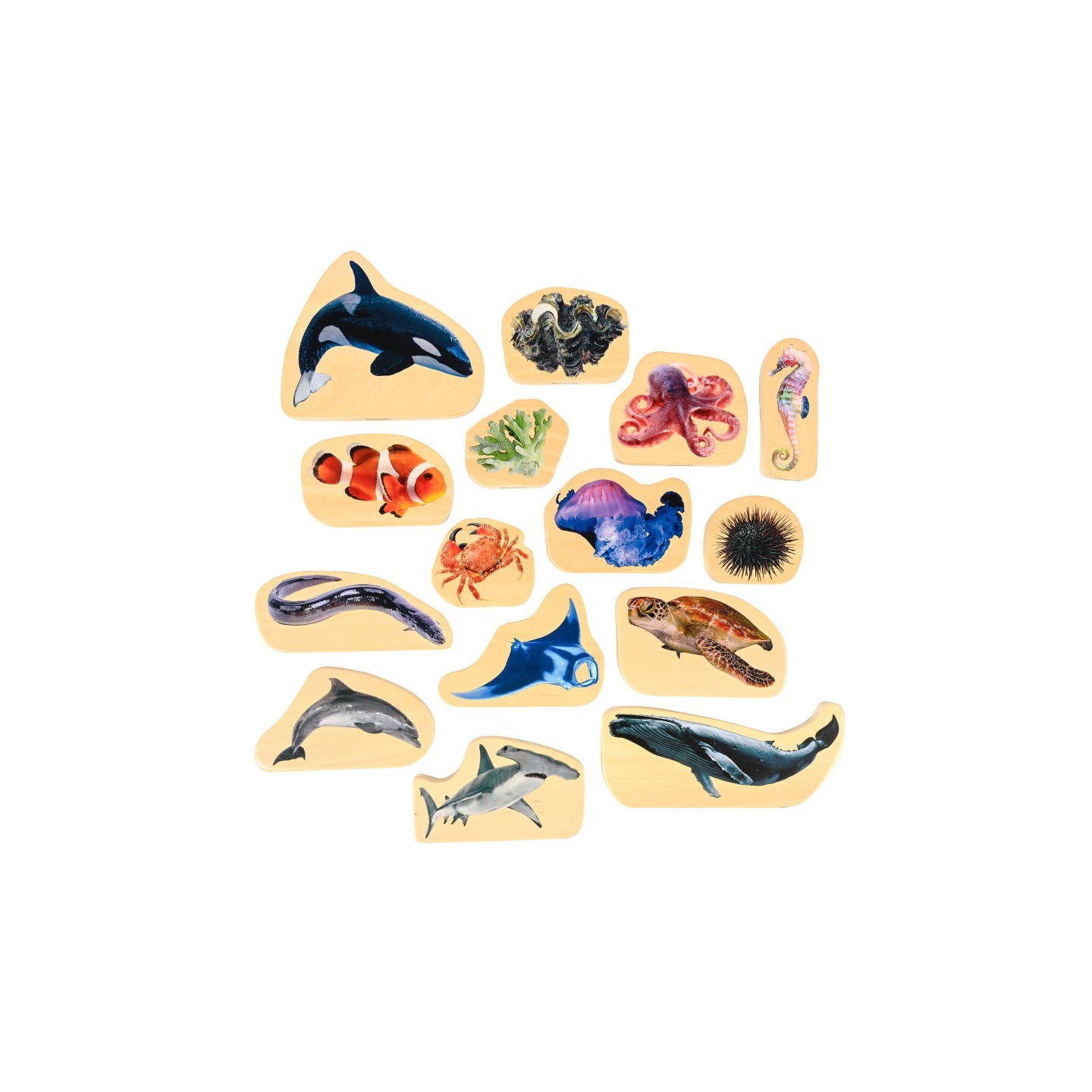 TickiT® Wooden Sea Life Blocks - Set of 15