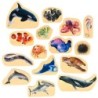 TickiT® Wooden Sea Life Blocks - Set of 15