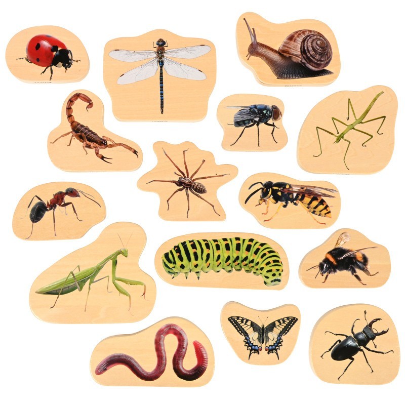 TickiT® Wooden Minibeast Blocks - Set of 15
