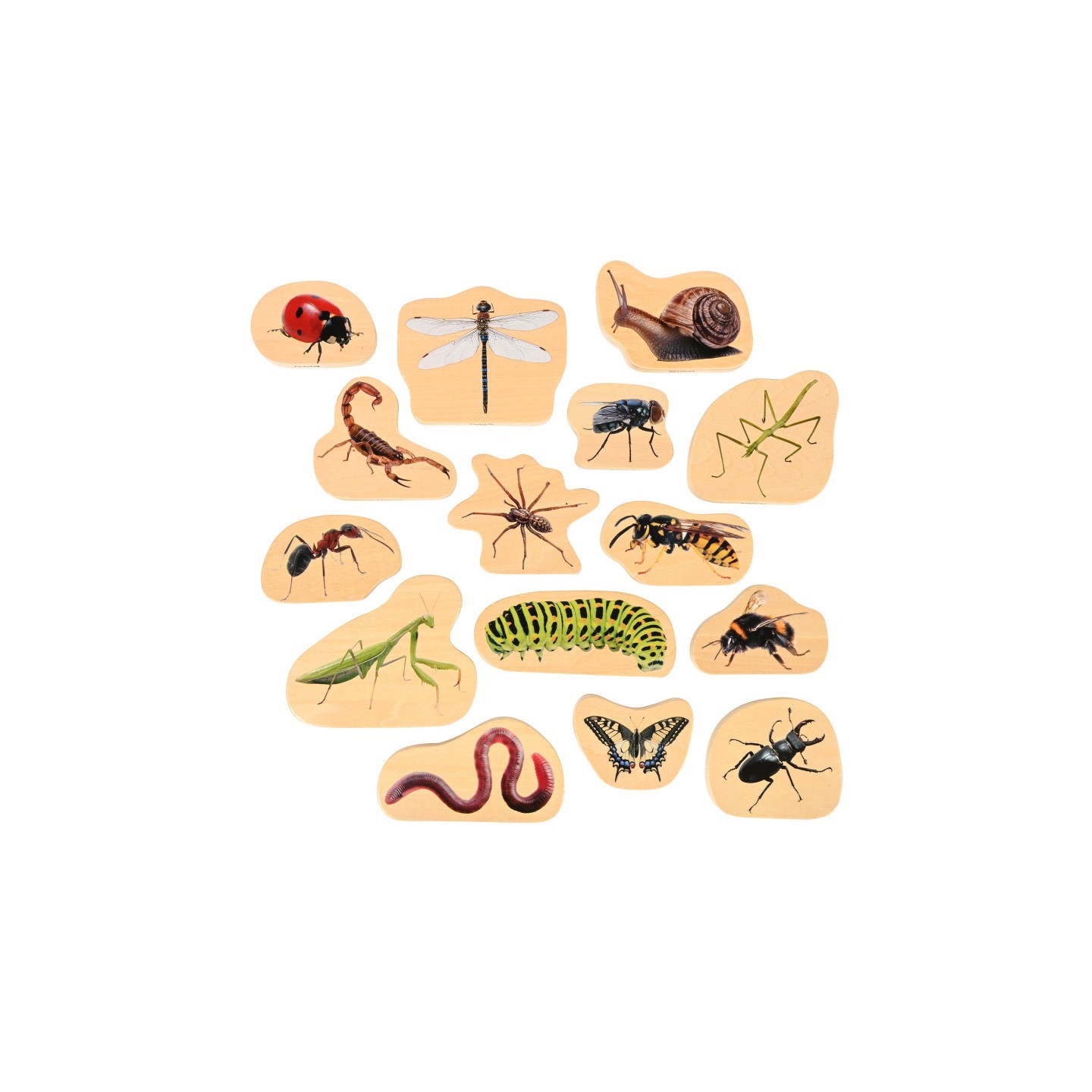 TickiT® Wooden Minibeast Blocks - Set of 15