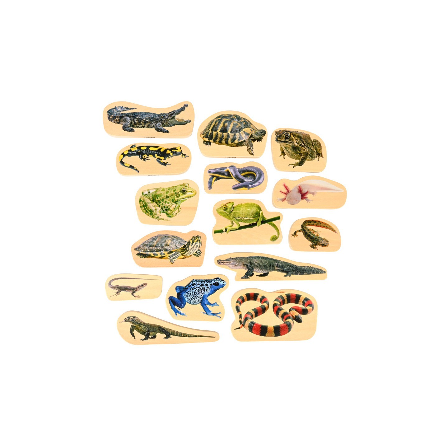 TickiT® Wooden Reptile & Amphibian Blocks - Set of 15
