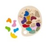 The Freckled Frog Artist Palette Puzzle - Wooden Puzzle