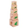 The Freckled Frog Lifecycle Wooden Blocks - Set of 5