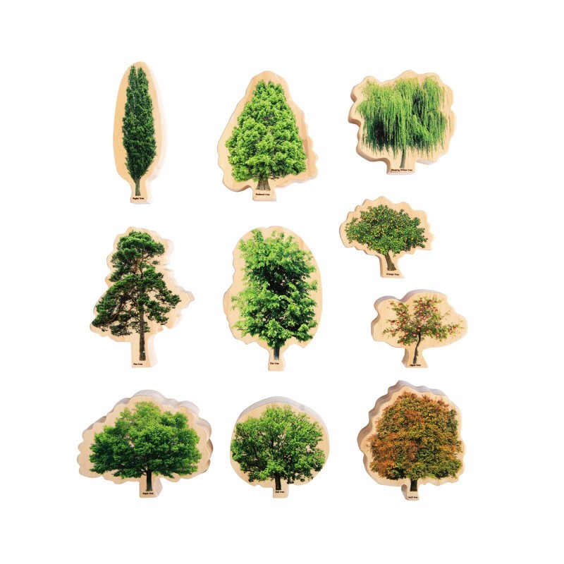 The Freckled Frog Seasons Wooden Trees