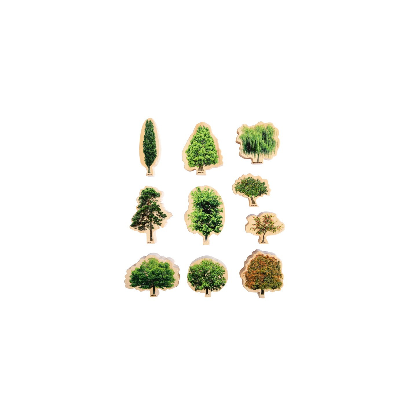The Freckled Frog Seasons Wooden Trees