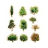 The Freckled Frog Seasons Wooden Trees
