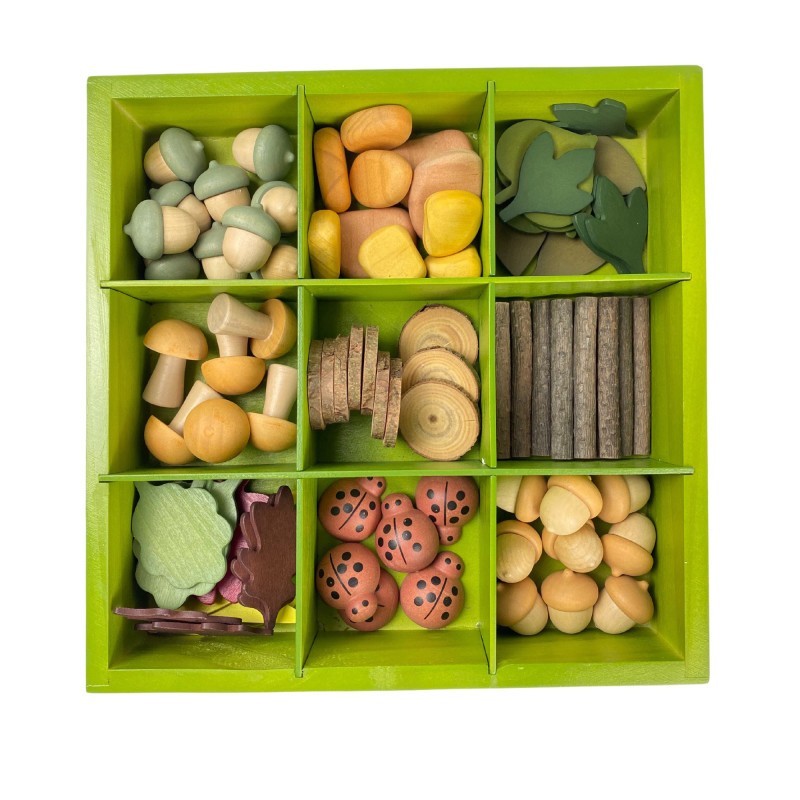 The Freckled Frog Nature's Sorting Box