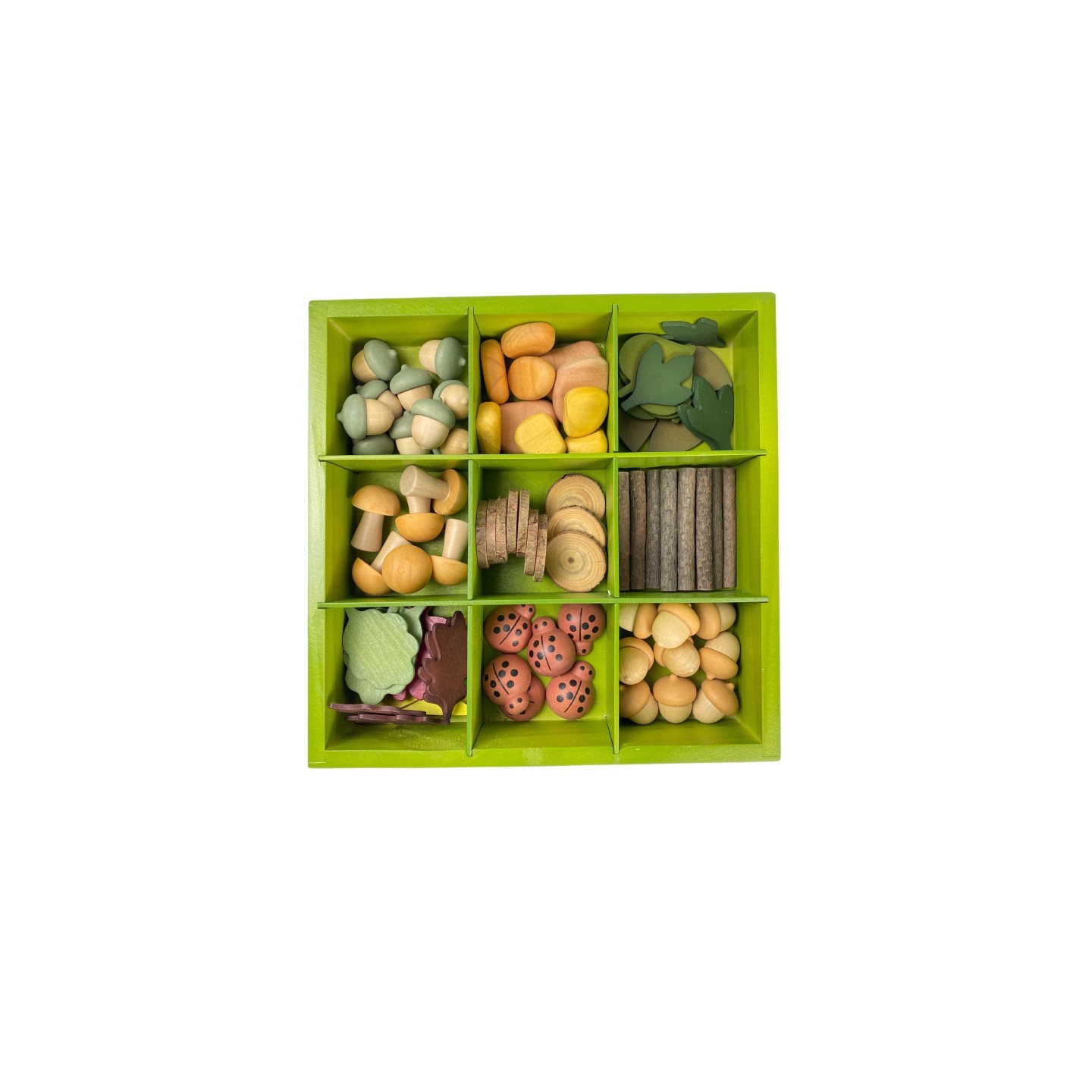 The Freckled Frog Nature's Sorting Box