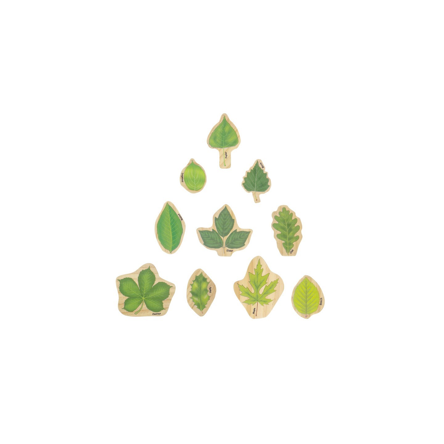 The Freckled Frog Stacking Leaves