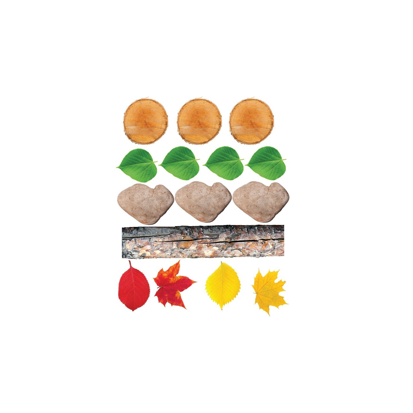 The Freckled Frog Nature's Footsteps - Set of 15 Nature-Inspired Rubber Mats - Ages 3+