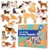 Spark & Wow Wooden Magnets - Cats & Dogs - Set of 20