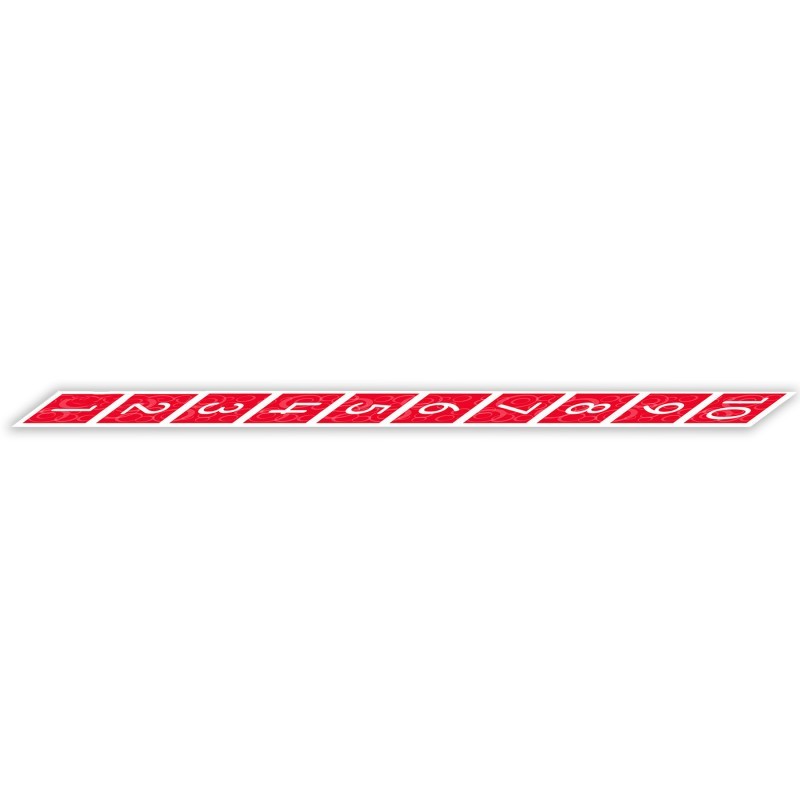 Didax® Number Path Floor Mat