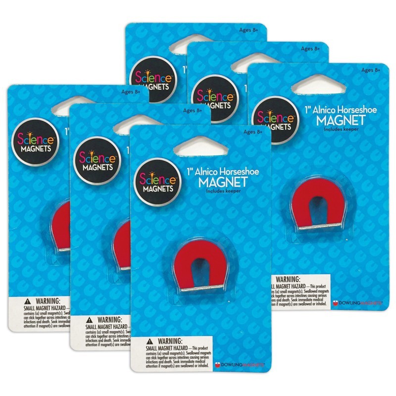 Dowling Magnets® Alnico 1" Horseshoe Magnet, Pack of 6