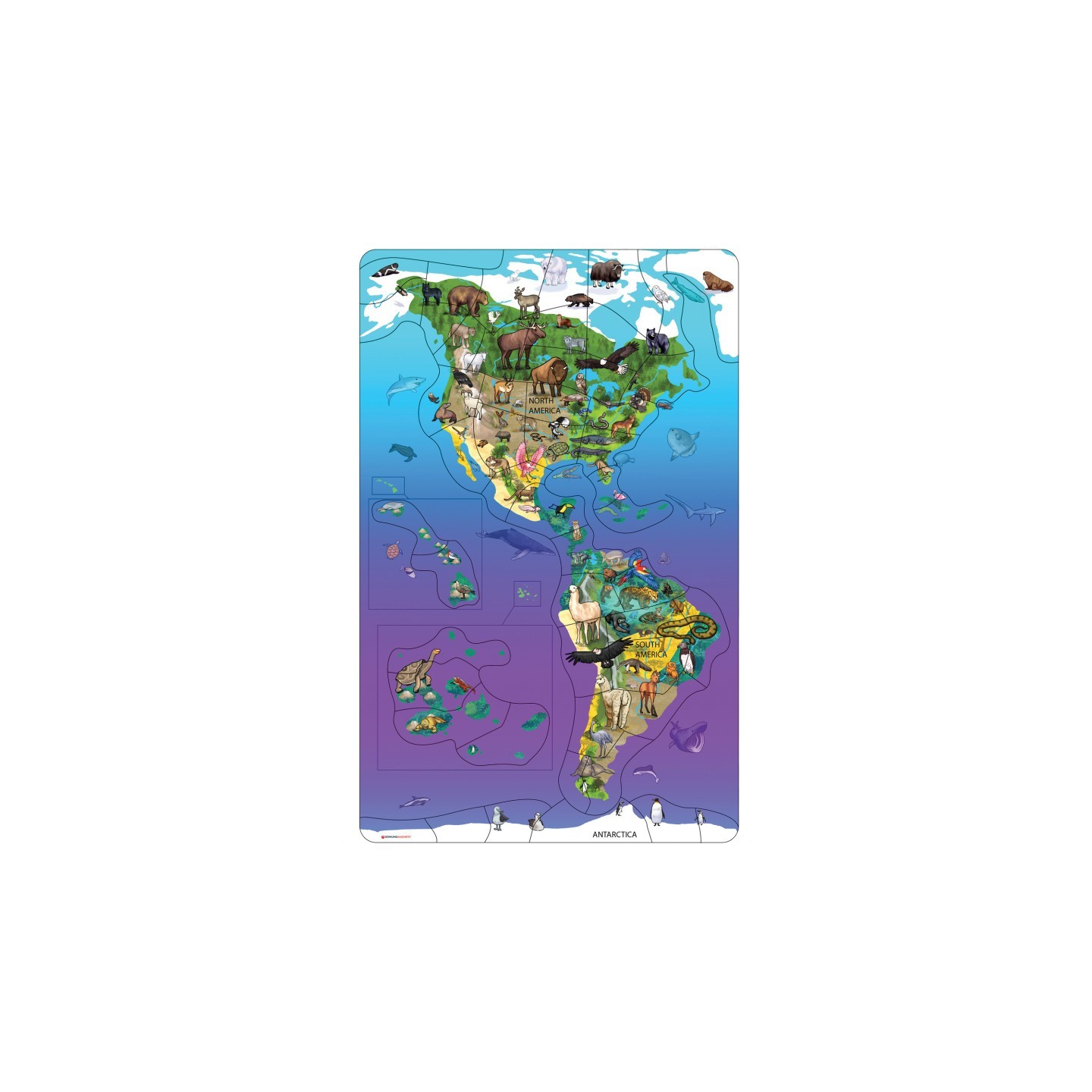 Dowling Magnets® Animal Magnetism® Magnetic Wildlife Map Puzzle: North & South America
