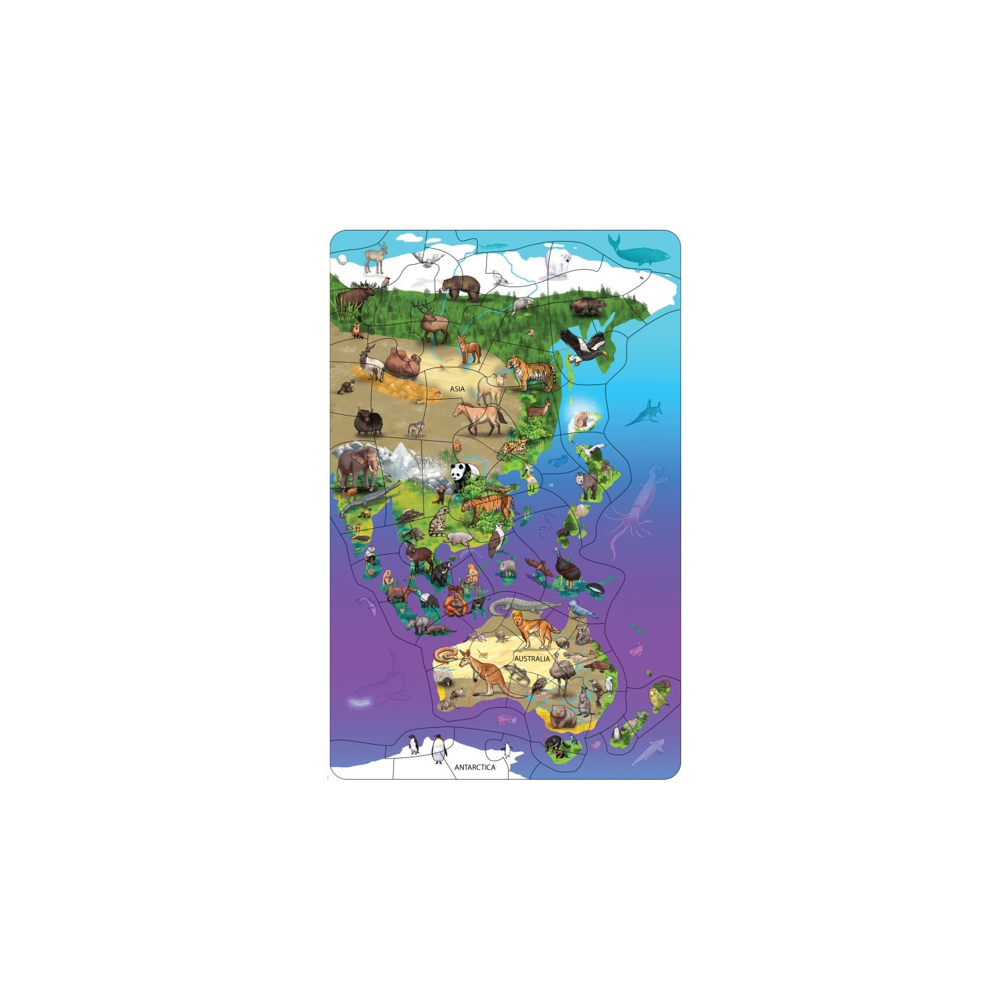 Dowling Magnets® Animal Magnetism® Magnetic Wildlife Map Puzzle: Asia & Australia