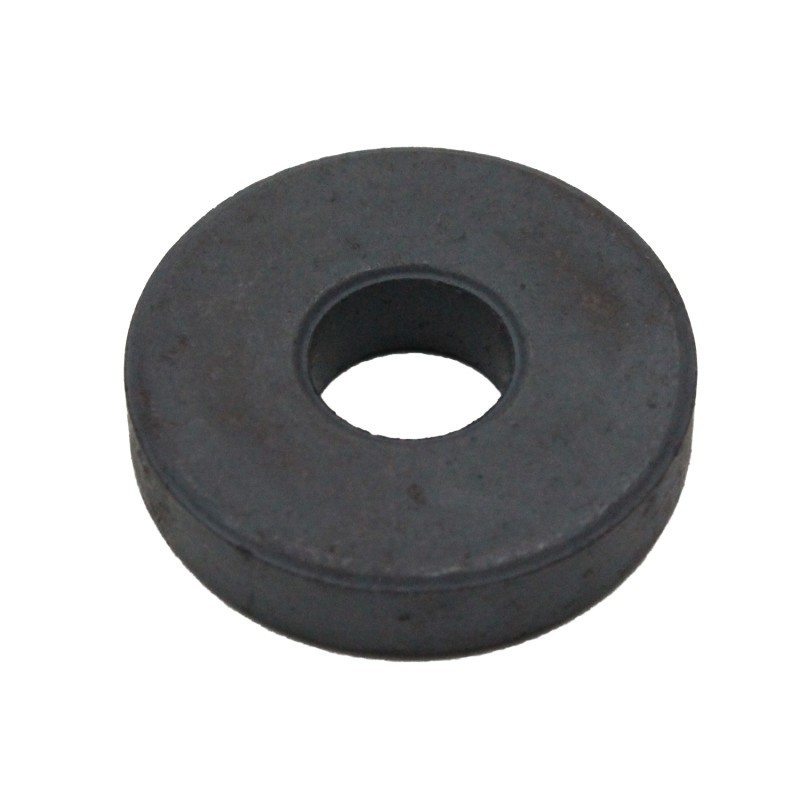 Dowling Magnets® Ring Magnets, 100 Pieces