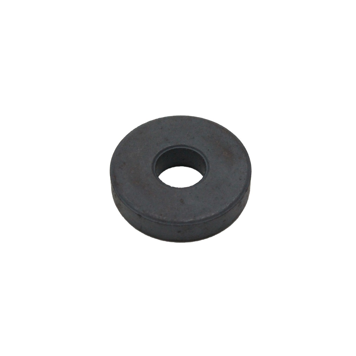 Dowling Magnets® Ring Magnets, 100 Pieces