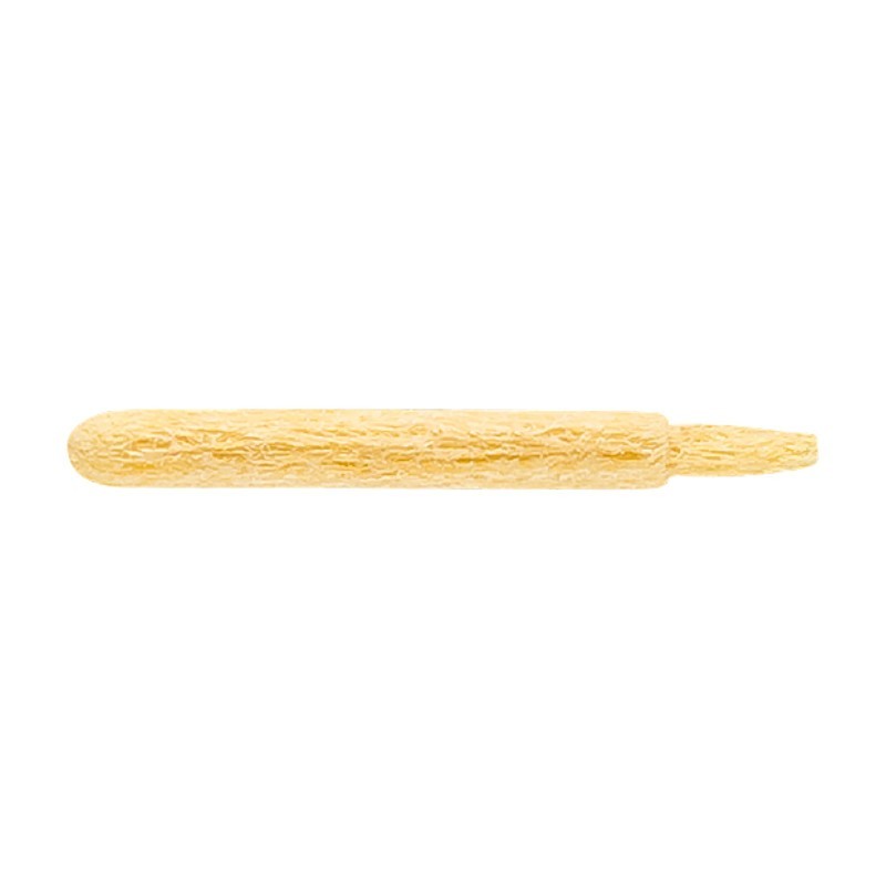 edding Replacement Nib for Series 751 Gloss Paint Markers