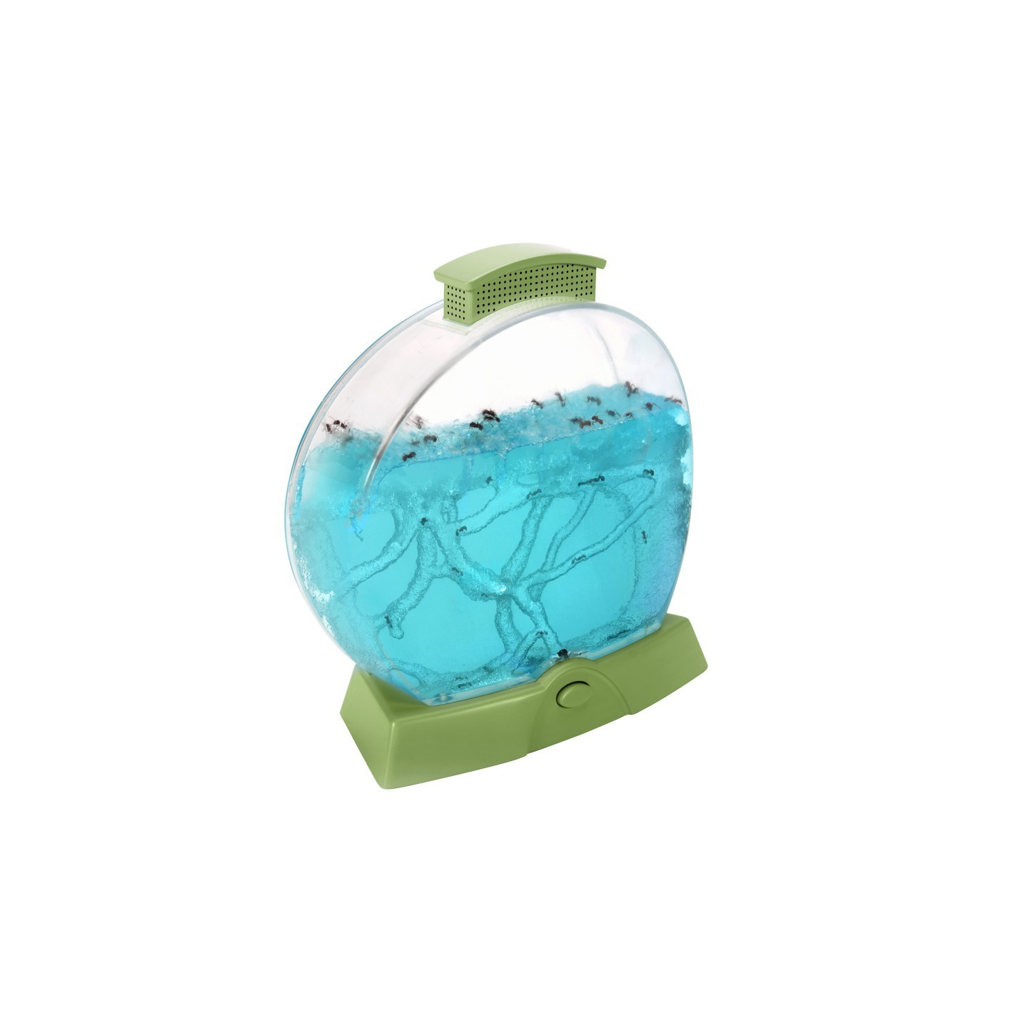 Educational Insights Geosafari® Day 'N' Night Ant Farm