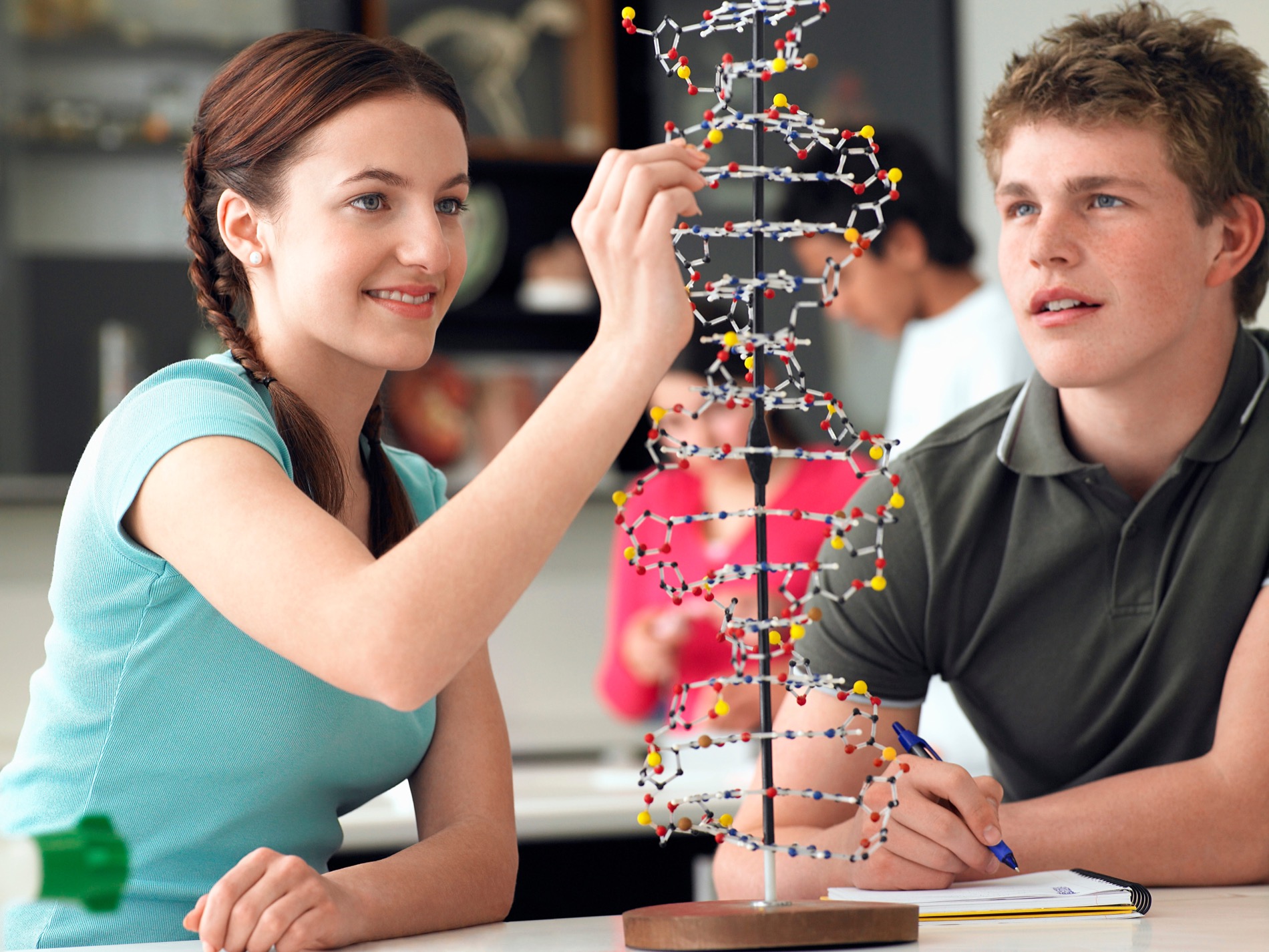 Students exploring a DNA model in science class
